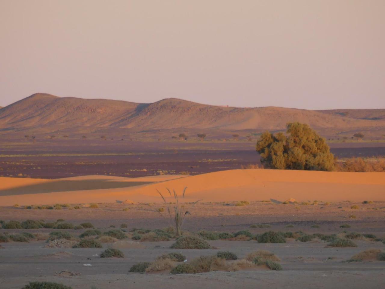 Camel Bivouac 메르주가 외부 사진